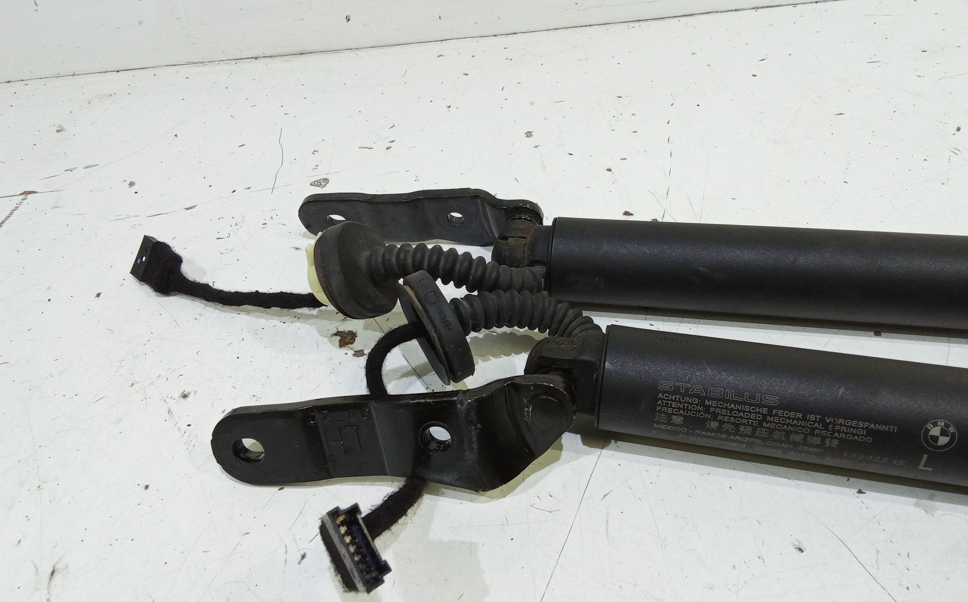 Pistoncini cofano Post. BMW X6 Serie (F96) (19>)