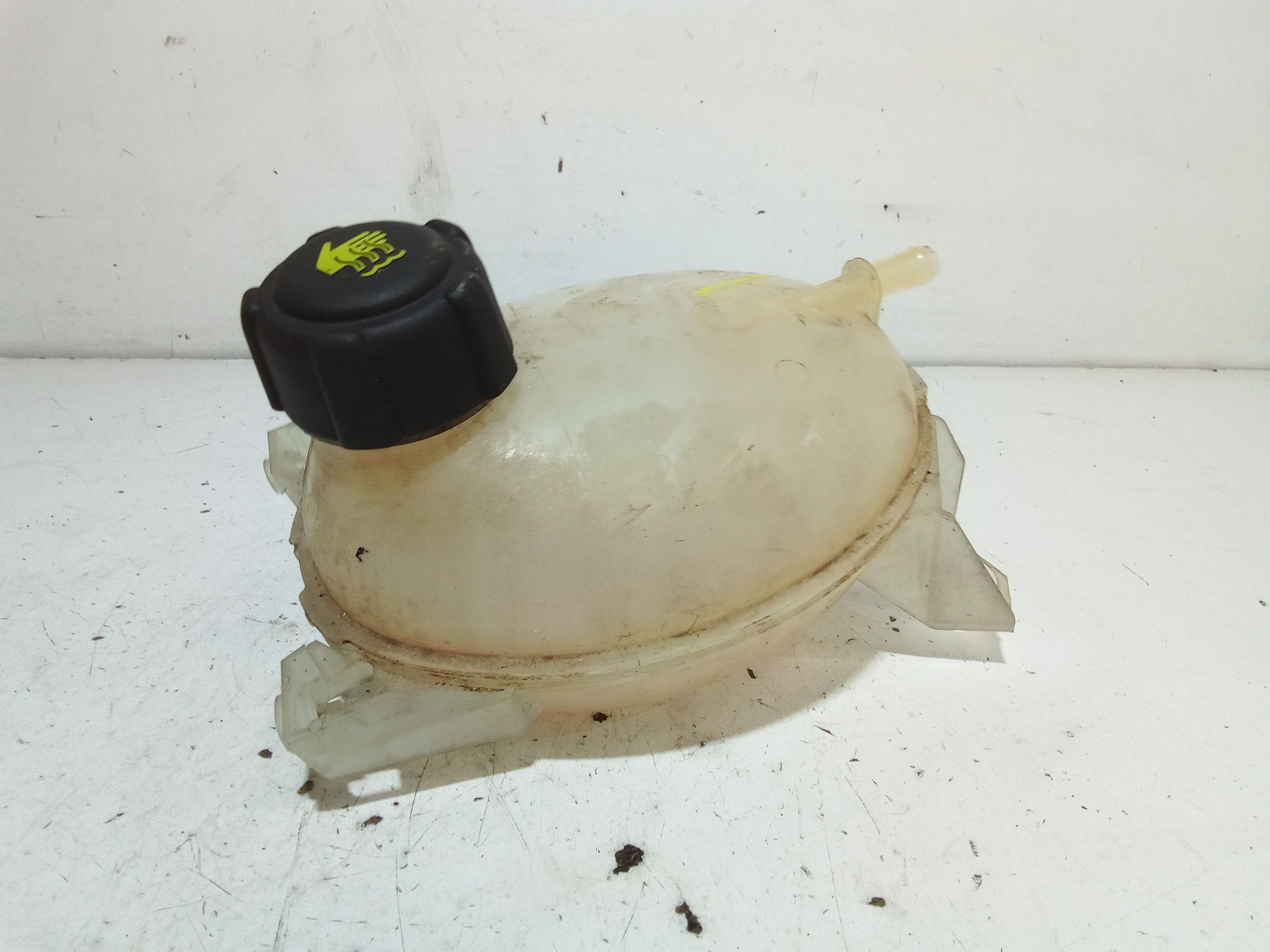 Vaschetta liquido radiatore RENAULT Captur Serie