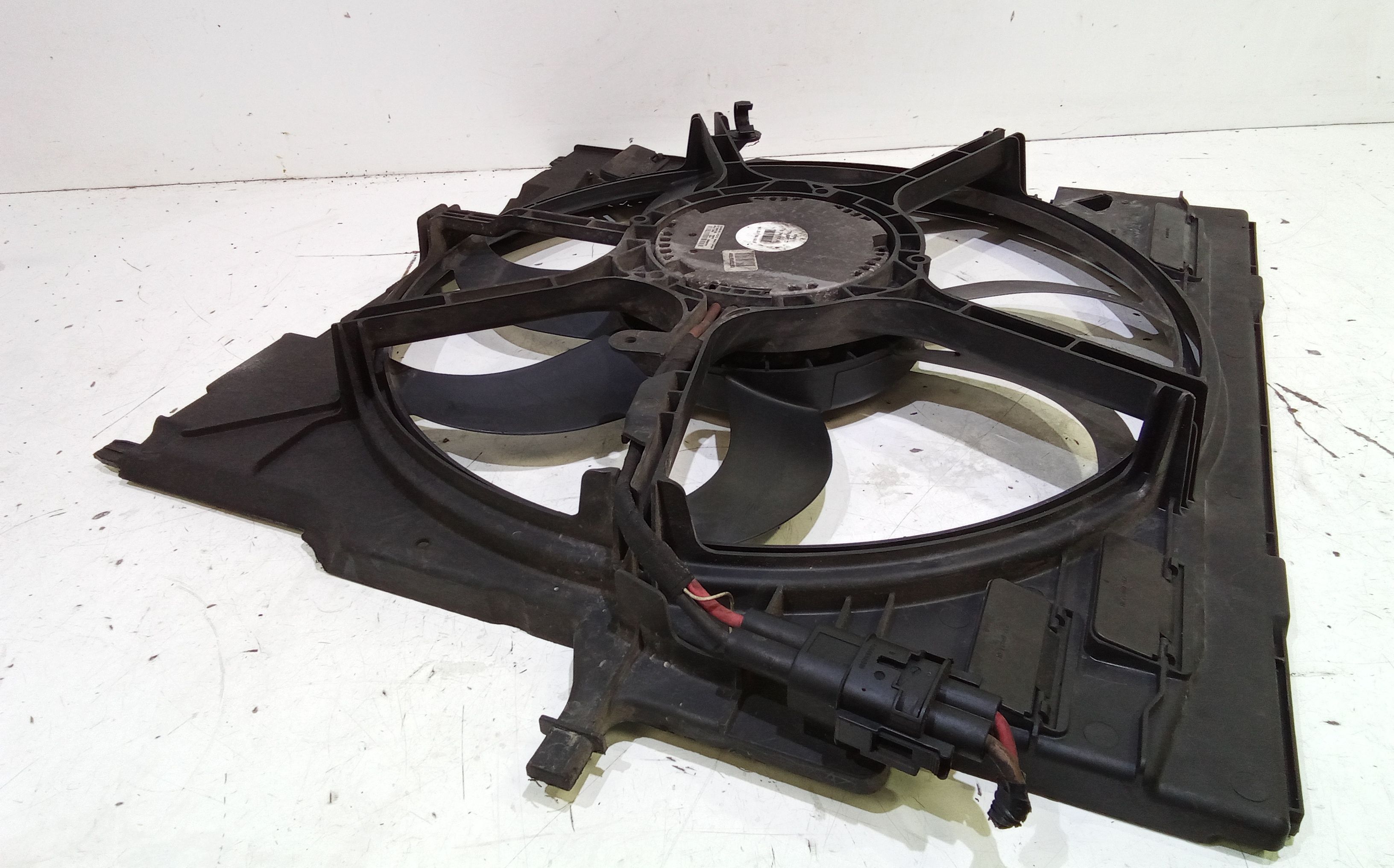 Ventola radiatore BMW X5 Serie (E70) (06>13)
