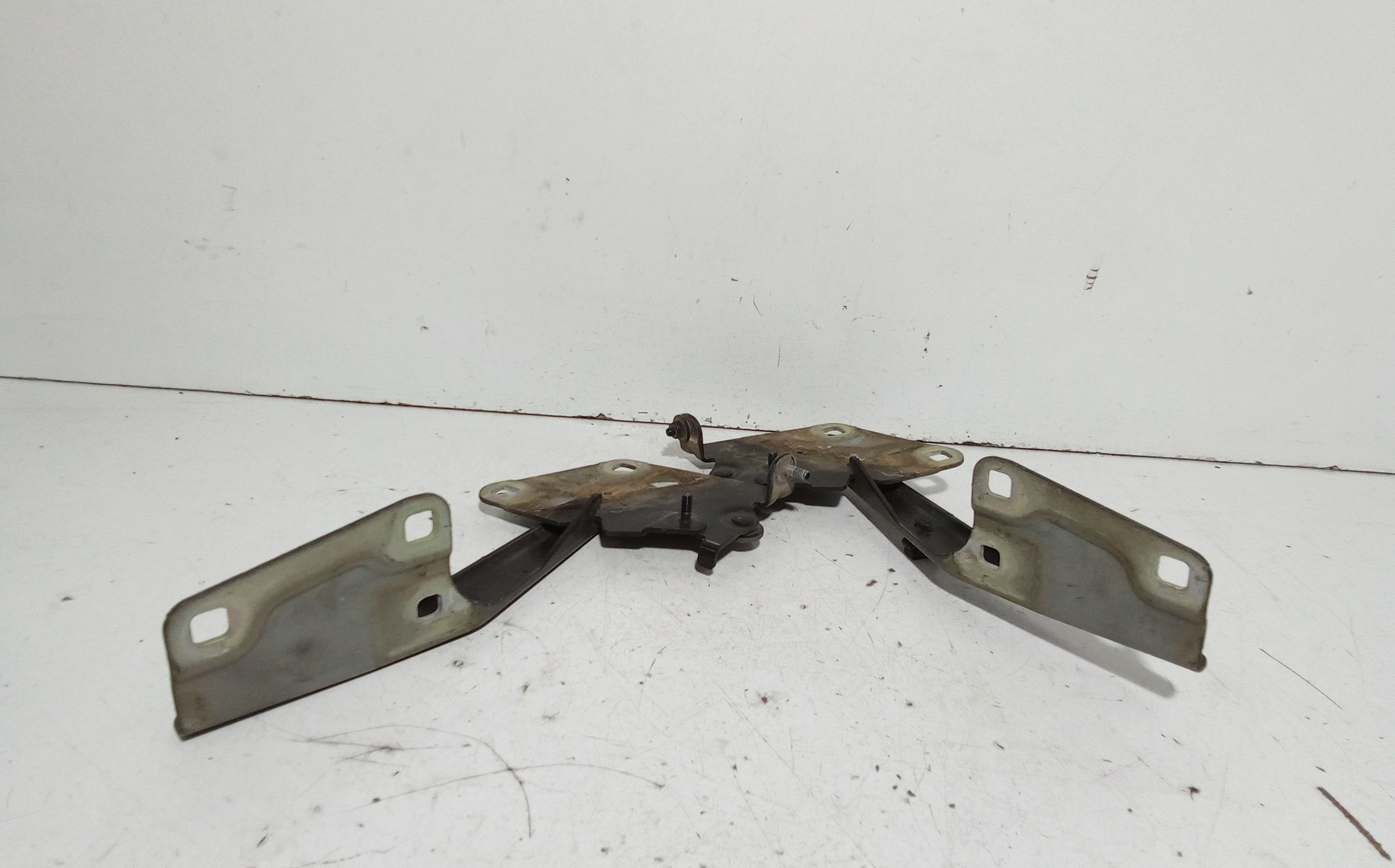 Cerniere cofano anteriore dx e sx RENAULT Megane III (08>16)