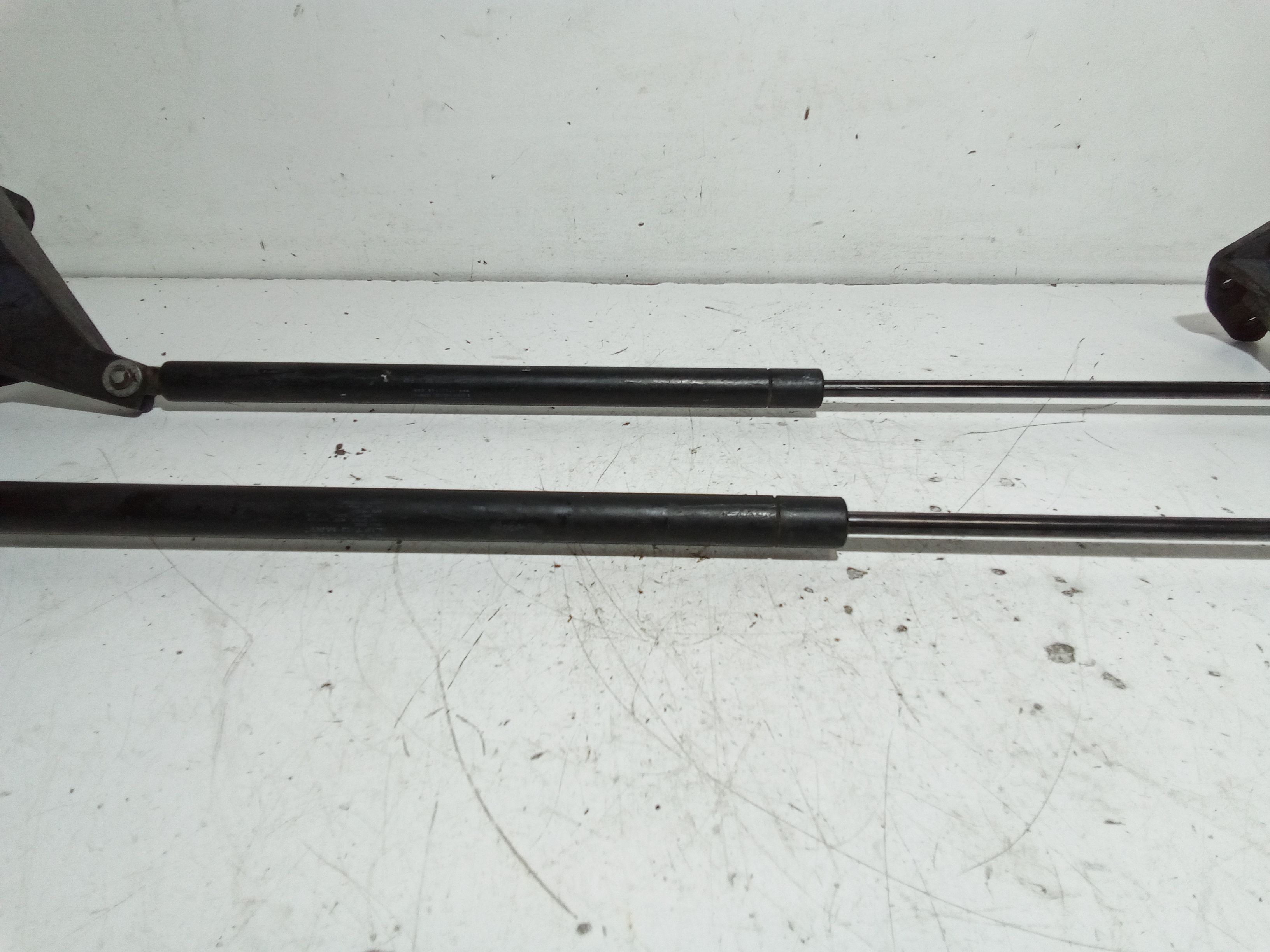 Pistoncini cofano ant IVECO Eurocargo 3 Serie