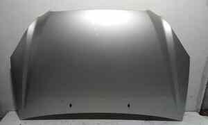 Cofano Anteriore per Kia Carens 2 Serie (2006 - In produzione)