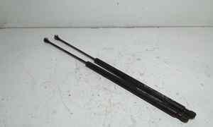 Pistoncini cofano Post. per Renault Koleos 1 Serie (2008 - In produzione)