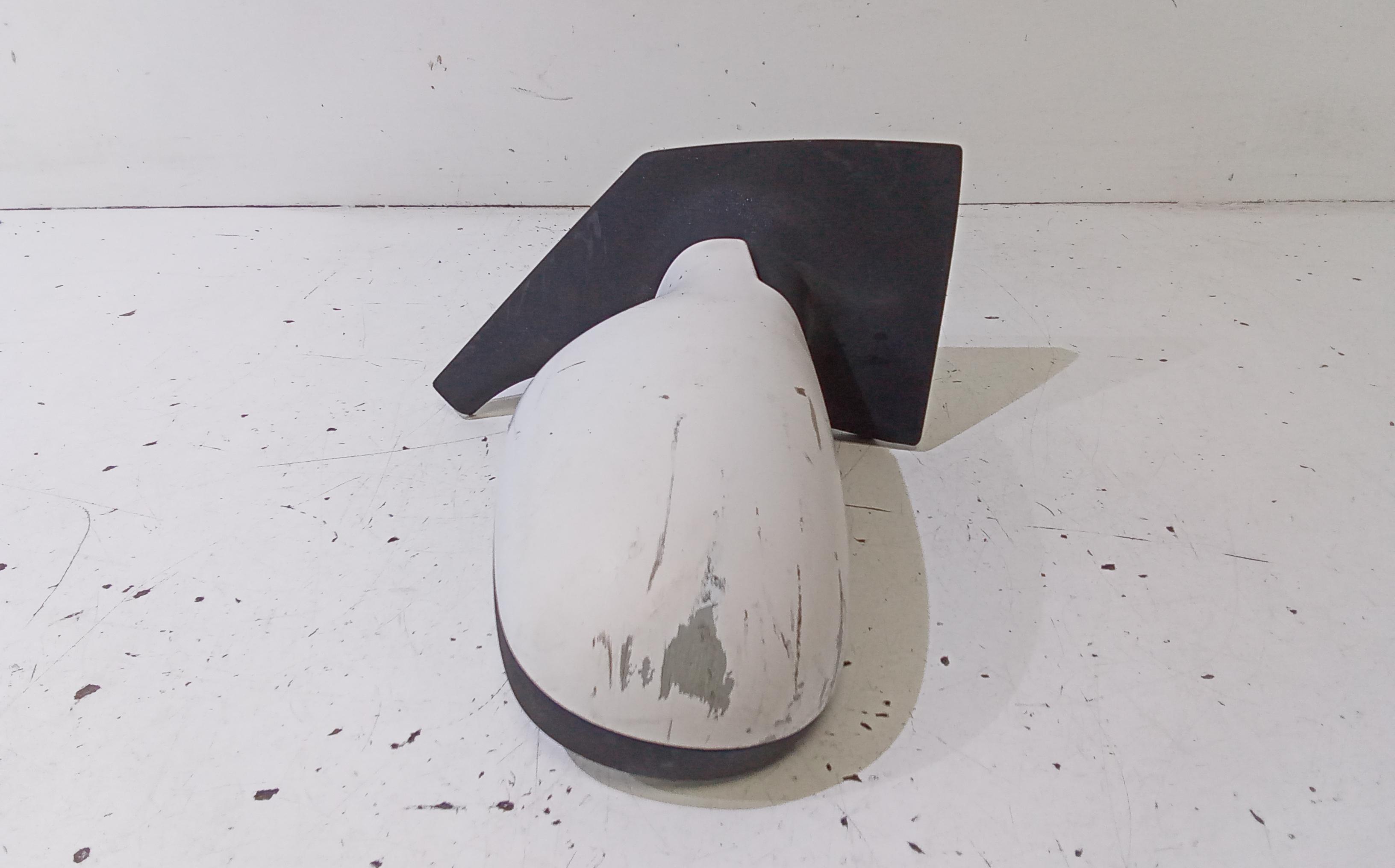 Specchietto Retrovisore Destro RENAULT Scenic Serie (99>03)