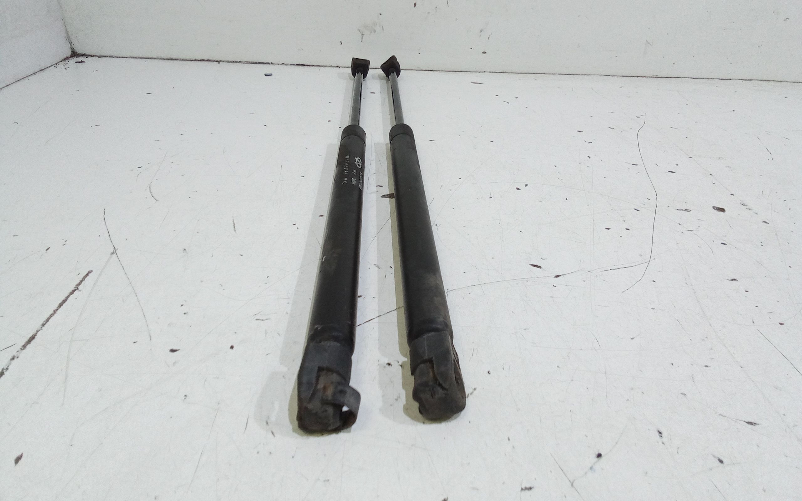 Pistoncini cofano Post. DR 2 1 Serie