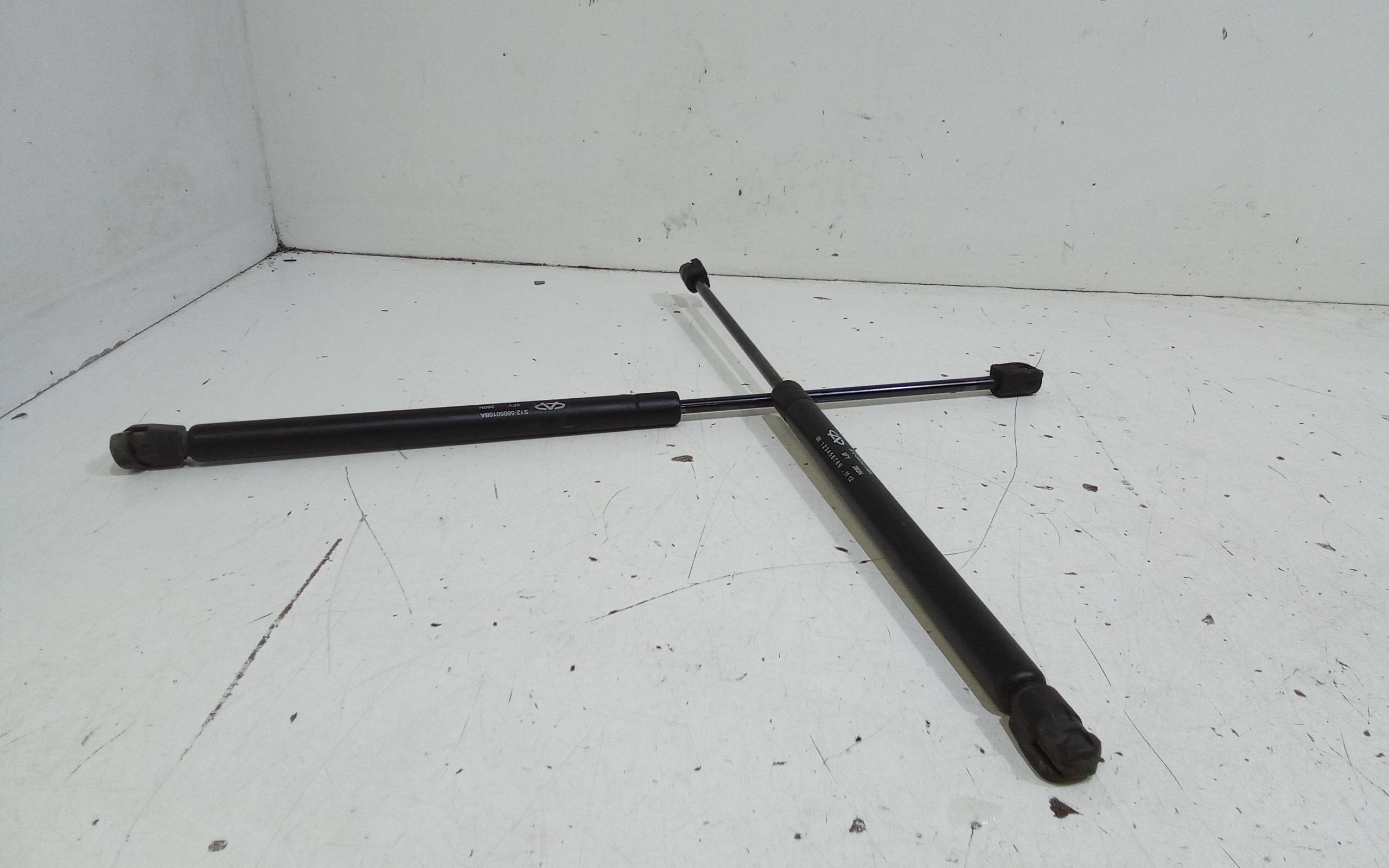 Pistoncini cofano Post. DR 2 1 Serie