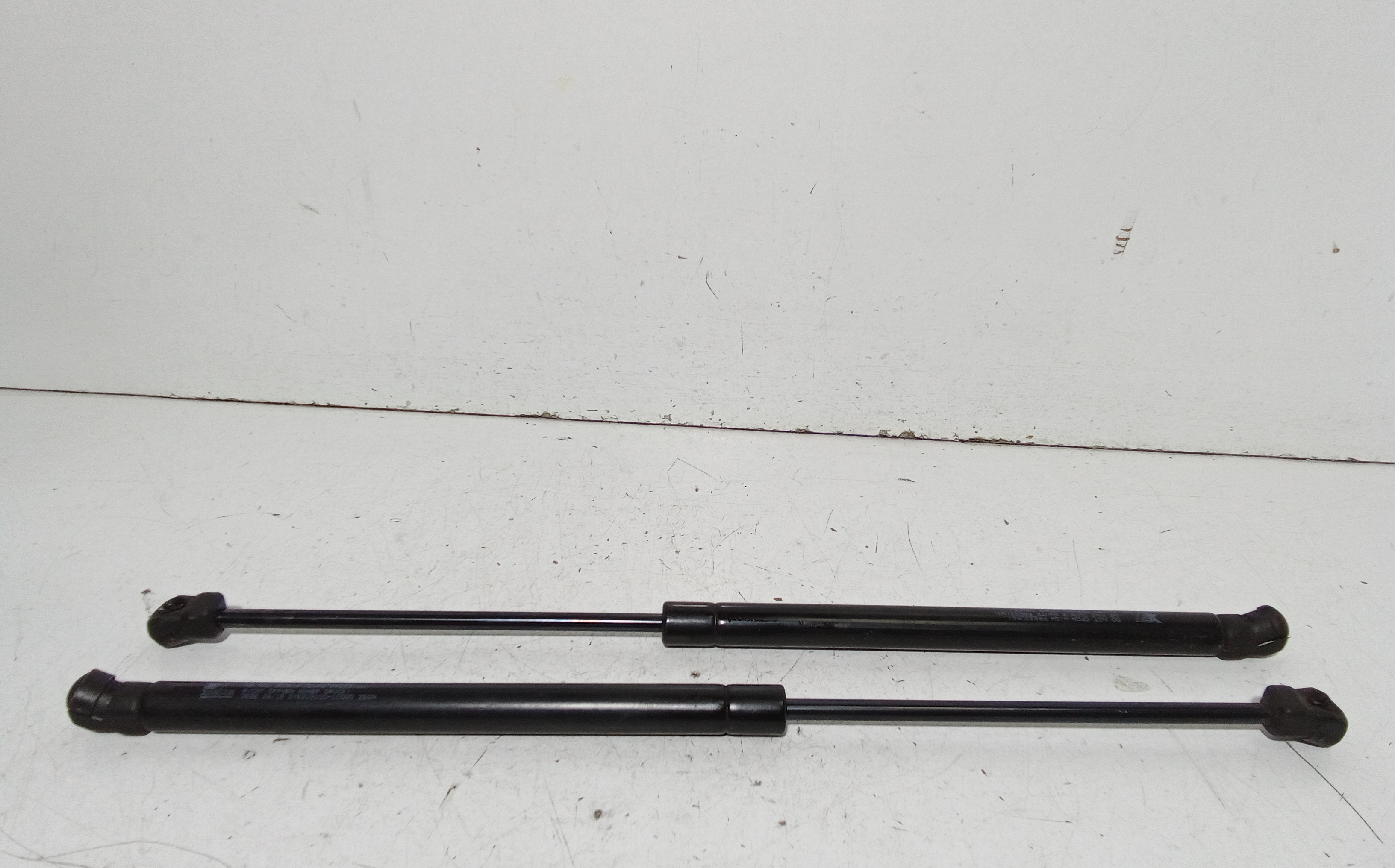 Pistoncini cofano Post. per ZD D1 Serie (16>) (2016 - In produzione)