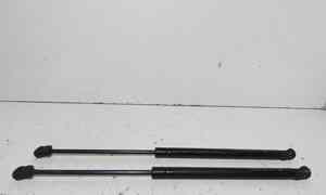 Pistoncini cofano Post. per ZD D1 Serie (16>) (2016 - In produzione)