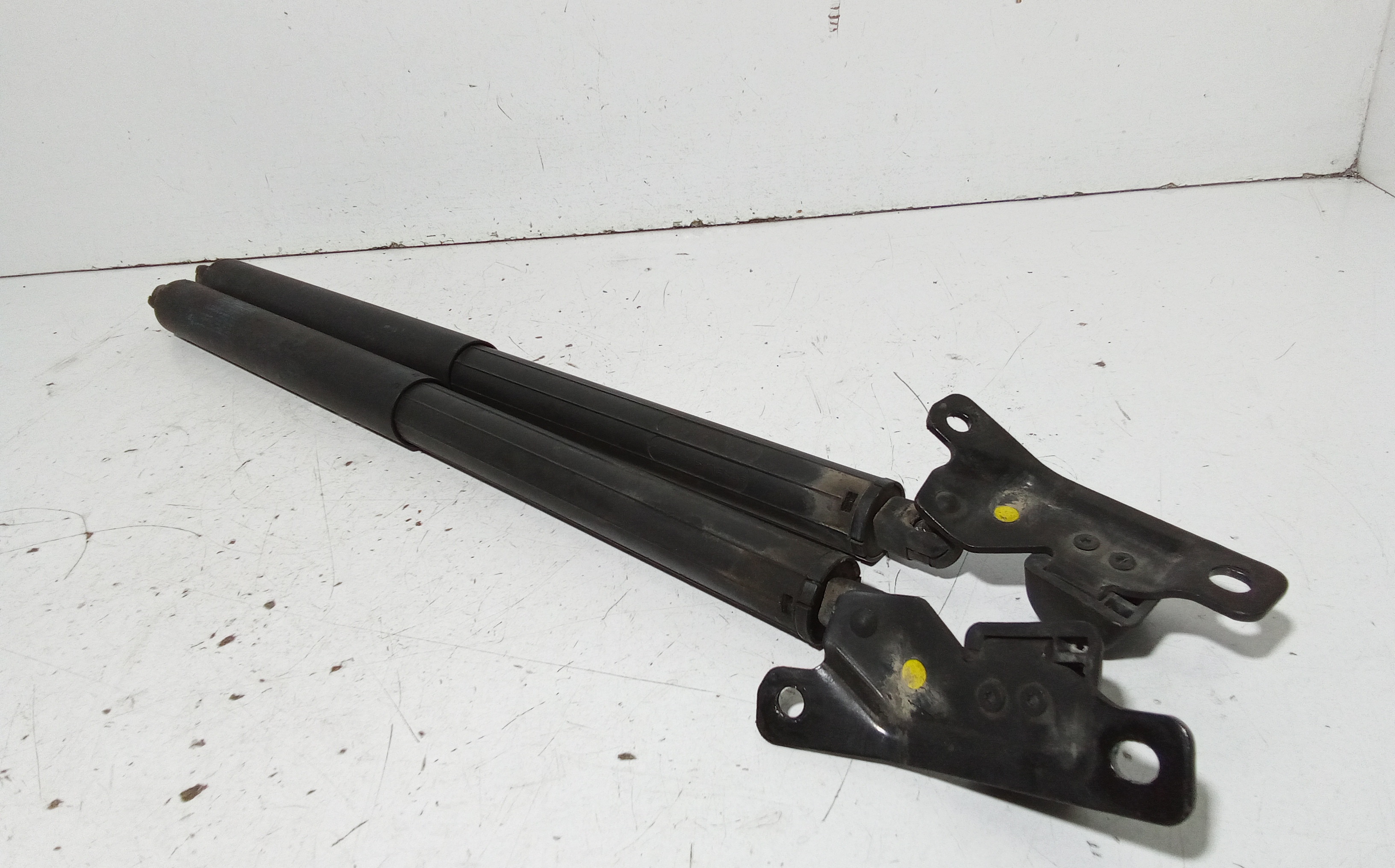 Pistoncini cofano Post. per Bmw X5 Serie (e70) (06>13) (2006 - 2013)