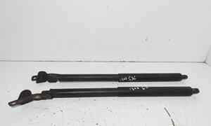 Pistoncini cofano Post. per Bmw X5 Serie (e70) (06>13) (2006 - 2013)