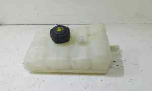 Vaschetta liquido radiatore per Renault Megane Serie (15>) (2015 - In produzione)
