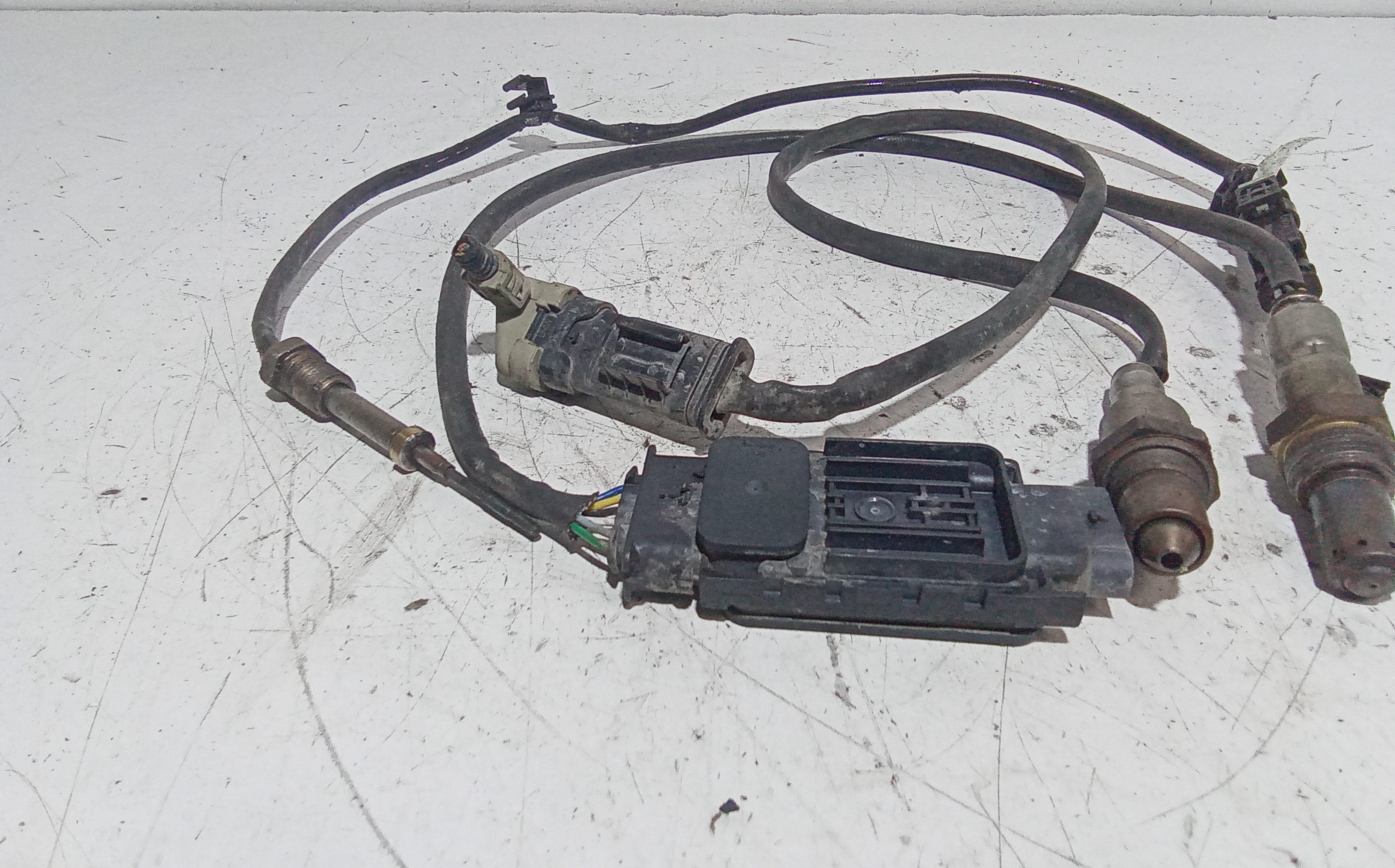 Sonda Lambda per Bmw Serie 1 F40 (19>) (2019 - In produzione)