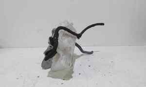 Pompa Freni per Renault Scenic Serie (16>) (2016 - In produzione)