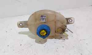 Vaschetta acqua liquido refrigerante per Fiat Qubo 1 Serie (2008 - In produzione)