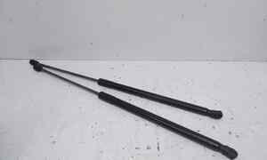 Pistoncini cofano ant per Ford Fiesta 7 Serie (2017 - >)