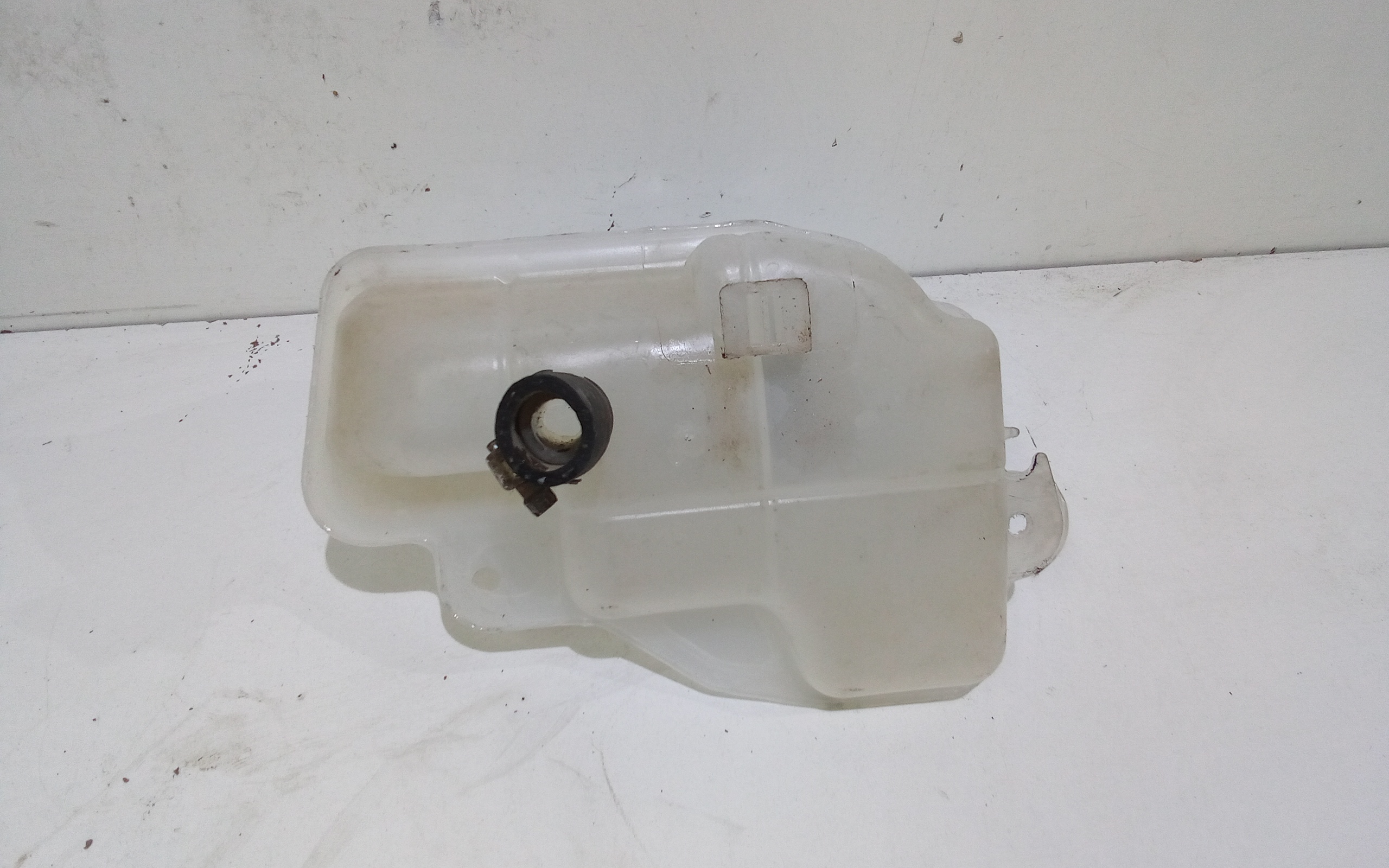 Vaschetta liquido radiatore per Fiat Palio 1 Serie (1996 - 2001)