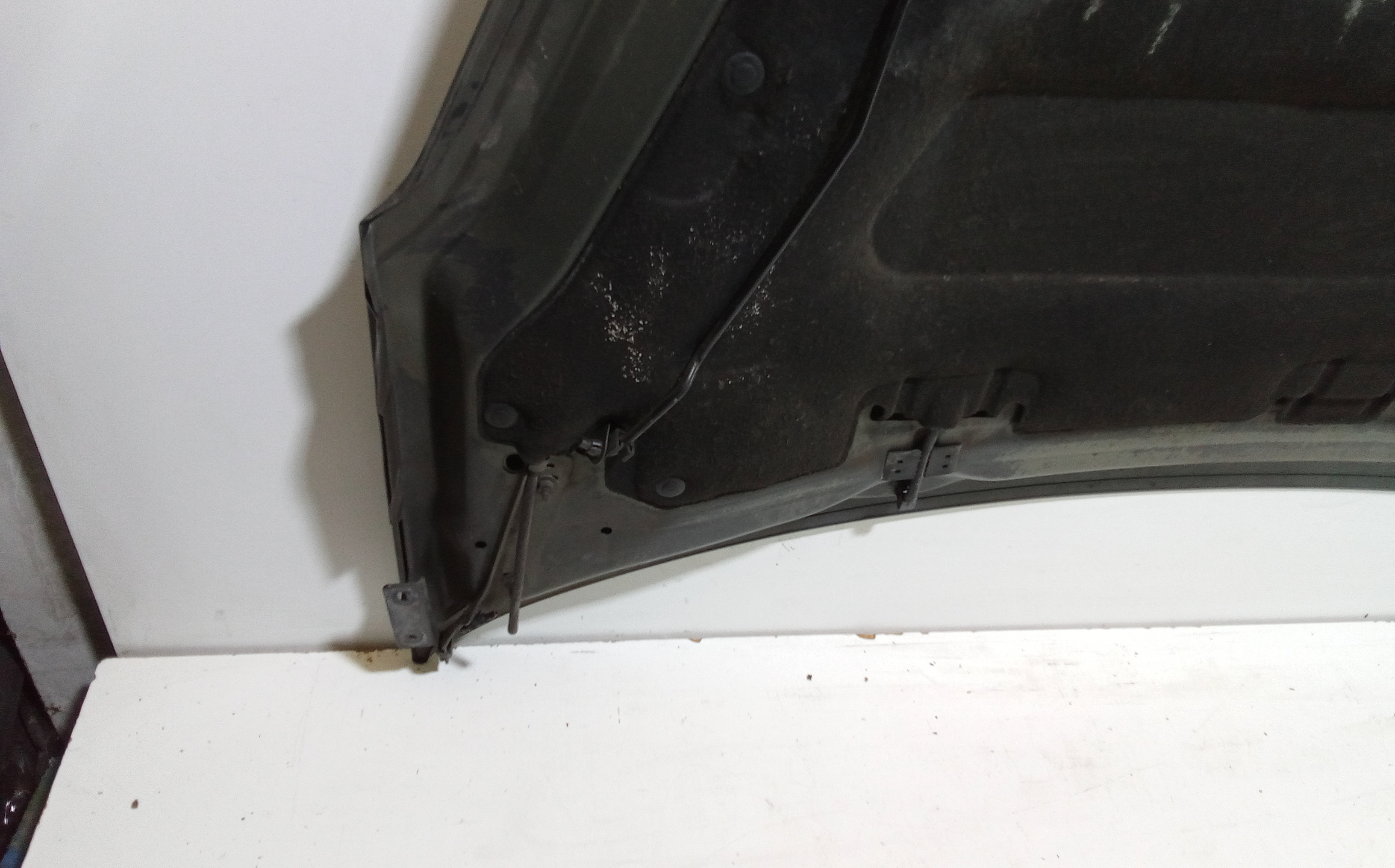 Cofano Anteriore per Peugeot Partner Tepee (08>) (2008 - In produzione)