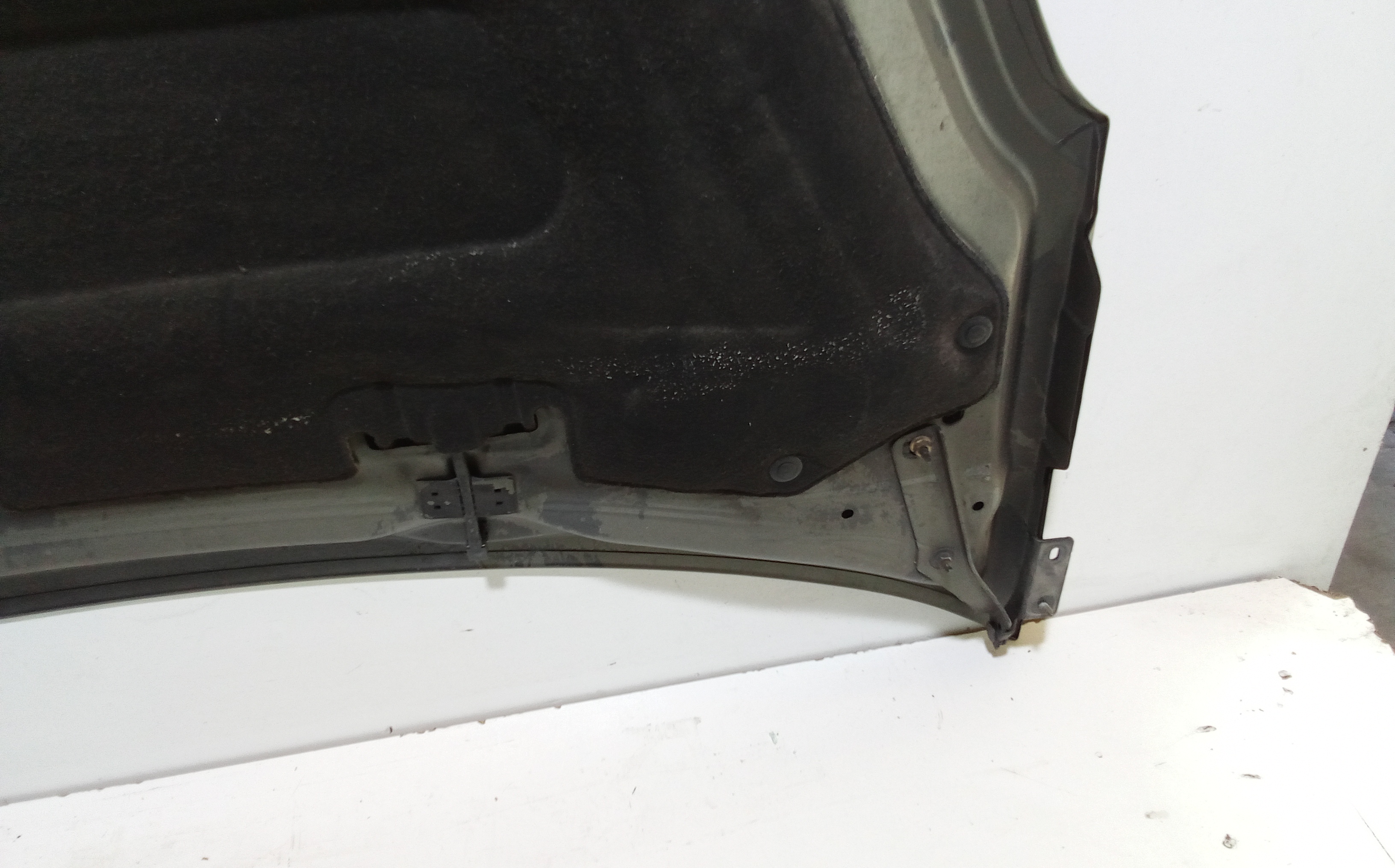 Cofano Anteriore per Peugeot Partner Tepee (08>) (2008 - In produzione)