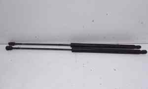 Pistoncini cofano Post. per Ford Kuga Serie (cbv) (08>13) (2008 - 2013)