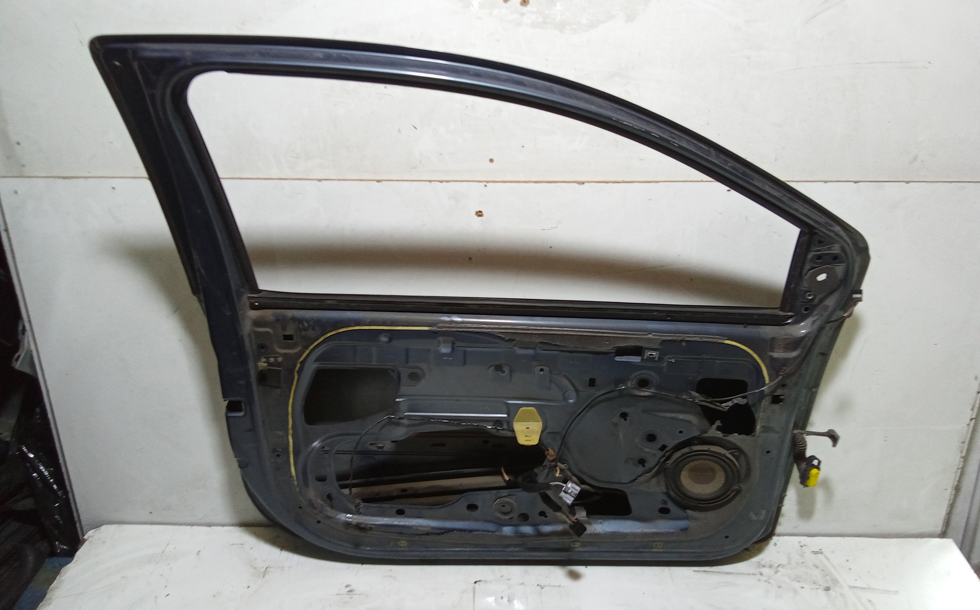Portiera Anteriore Sinistra per Renault Twingo Ii Serie  (07>14) (2007 - 2014)