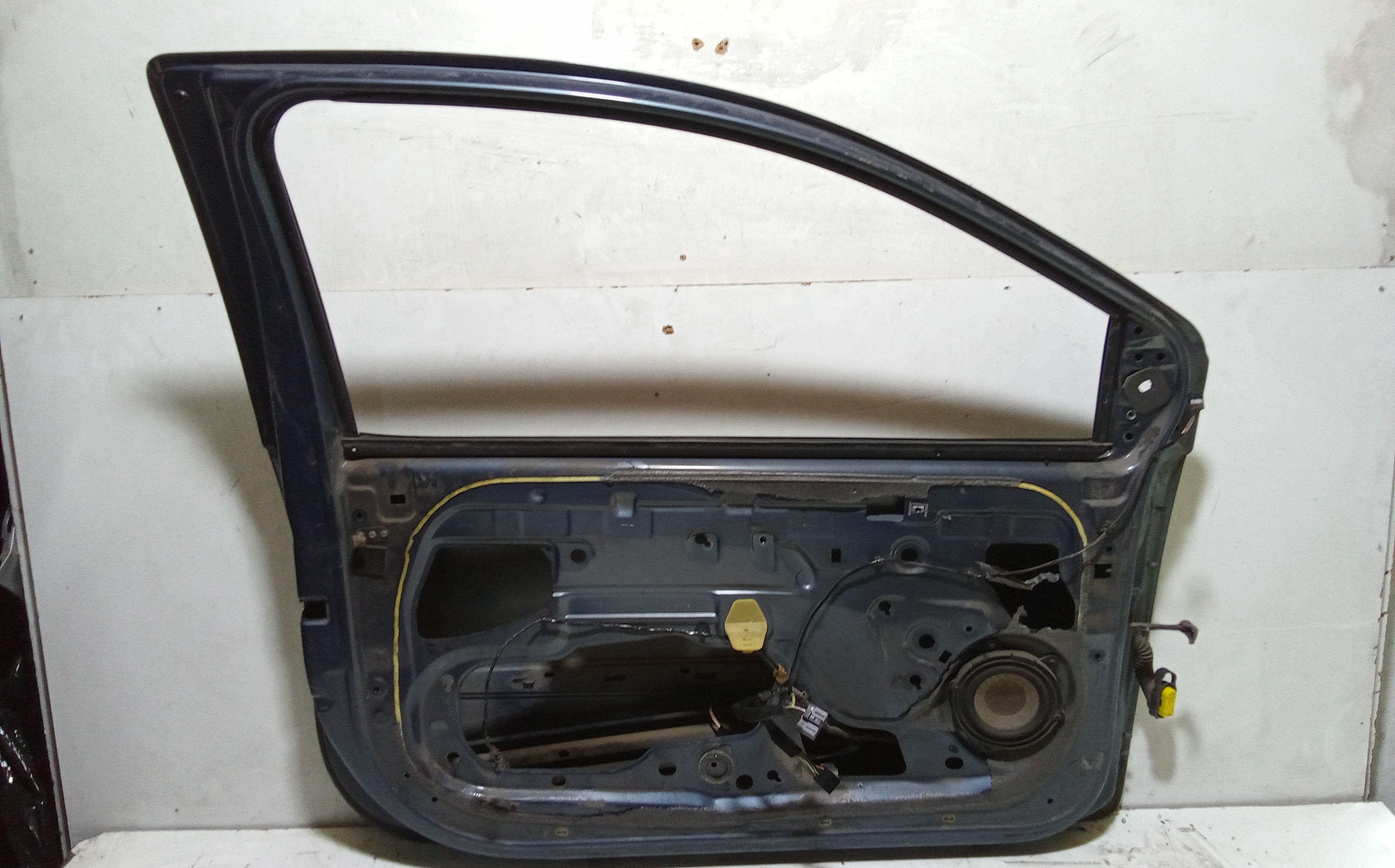 Portiera Anteriore Sinistra per Renault Twingo Ii Serie  (07>14) (2007 - 2014)