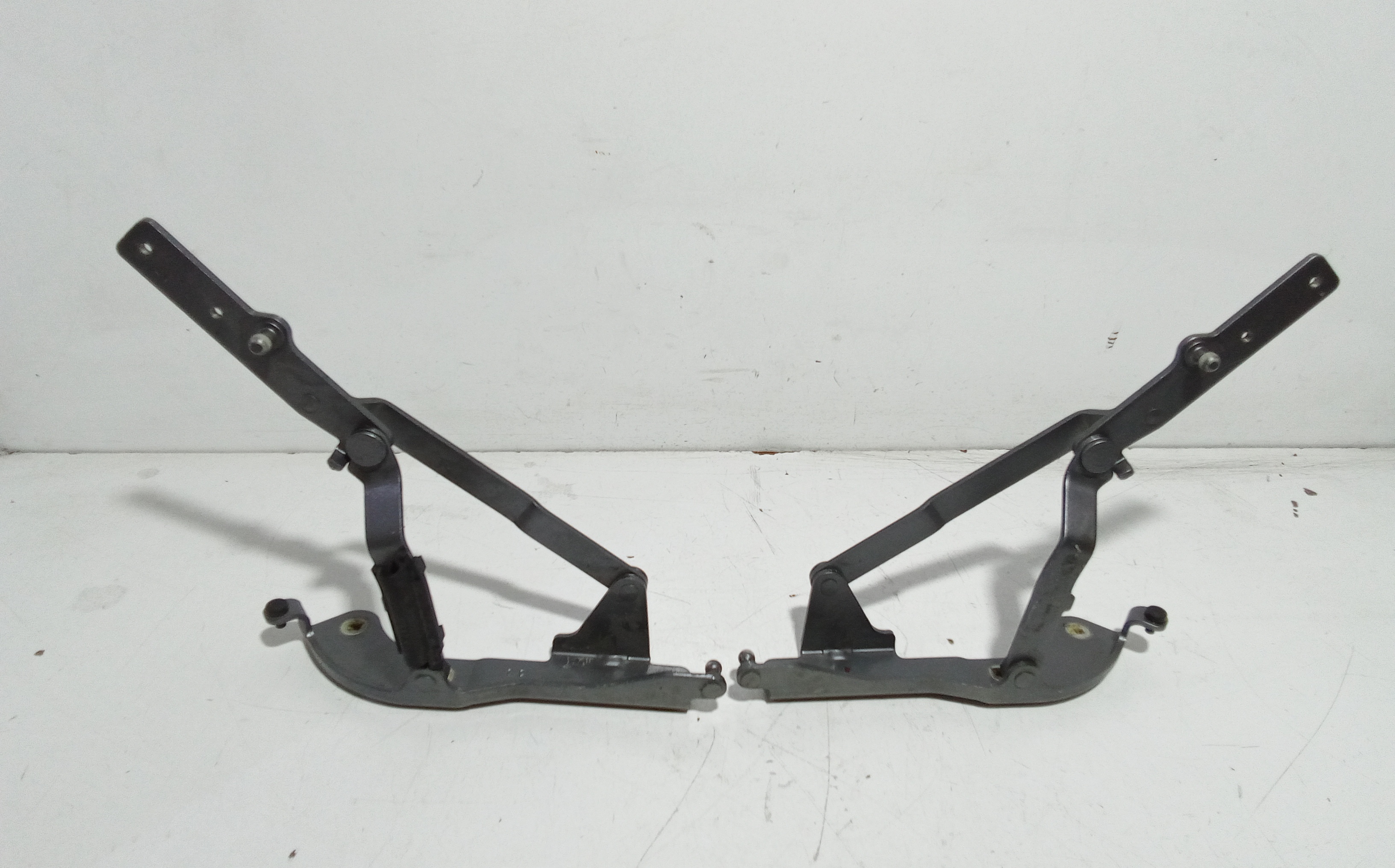 Cerniere cofano anteriore dx e sx per Fiat 500 Serie Elettrica (20>) (2020 - In produzione)