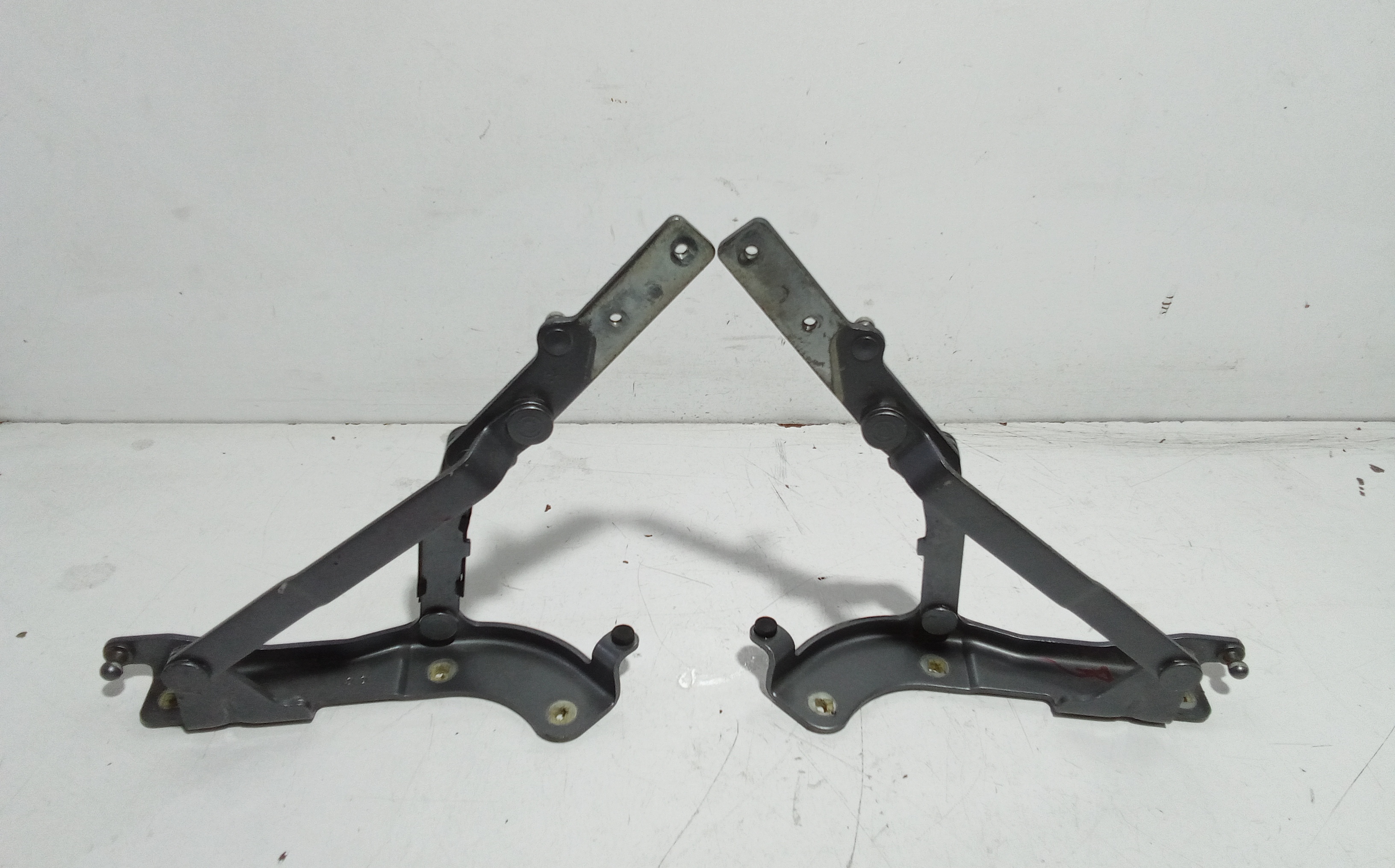 Cerniere cofano anteriore dx e sx per Fiat 500 Serie Elettrica (20>) (2020 - In produzione)