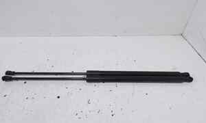 Pistoncini cofano Post. per Citroen C3 Picasso (08>) (2008 - In produzione)