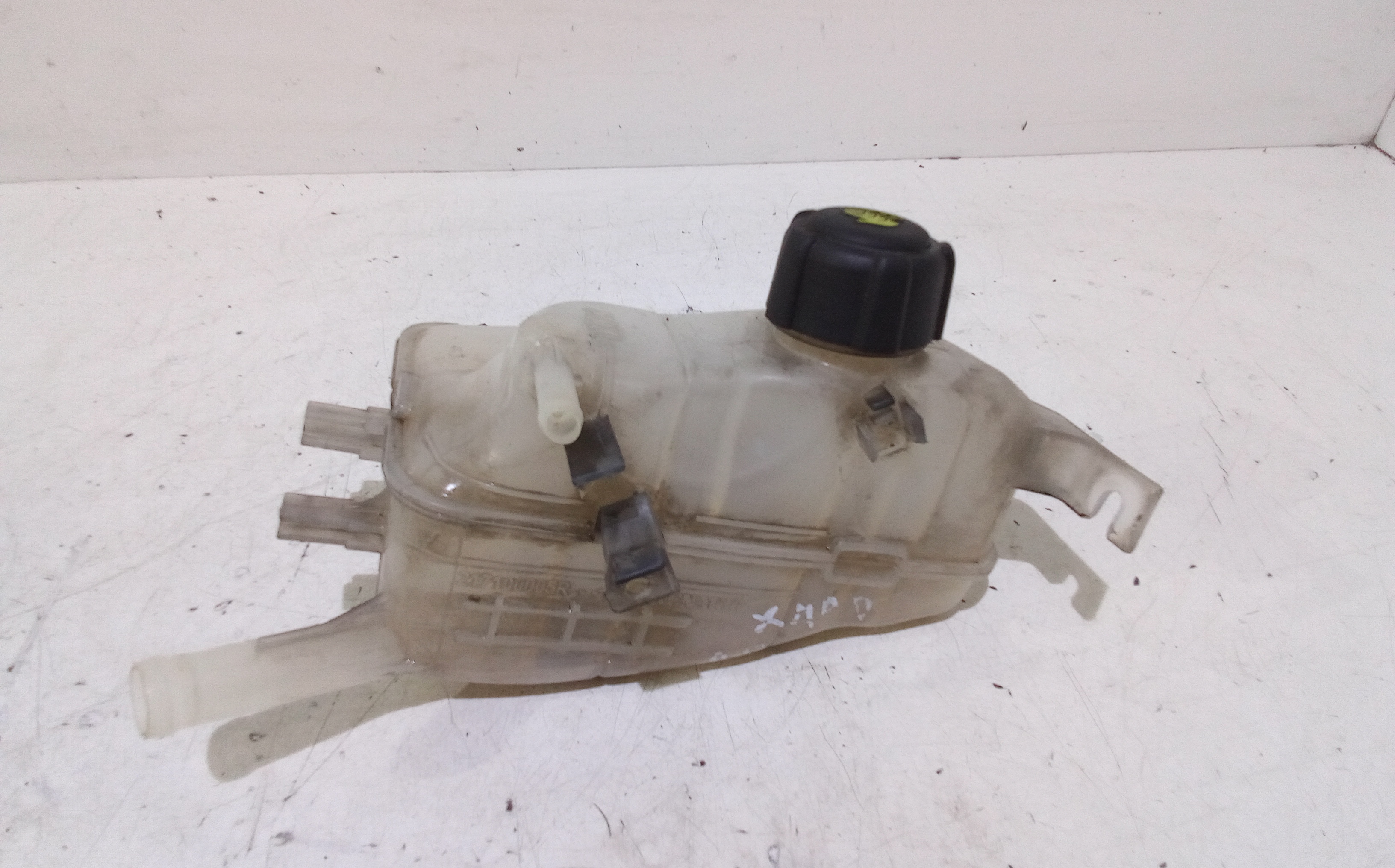 Vaschetta liquido radiatore per Renault Scenic X Mod (2009 - In produzione)