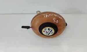 Vaschetta liquido radiatore per Volkswagen Transporter T5 4 Serie (2009 - In produzione)