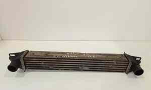 Intercooler per Peugeot Bipper 1 Serie (2007 - In produzione)