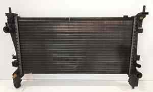 Radiatore acqua per Peugeot Bipper 1 Serie (2007 - In produzione)