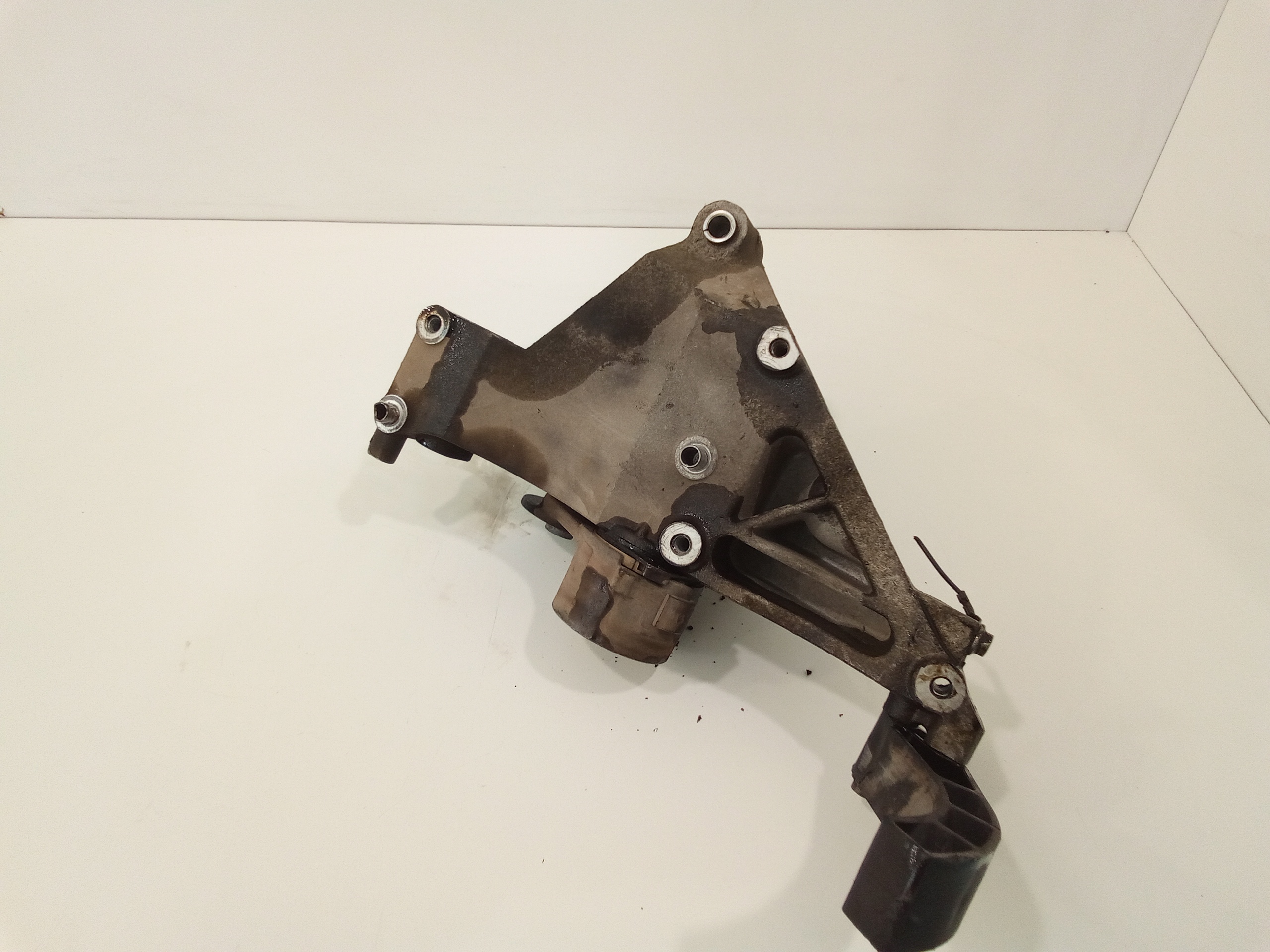 Supporto tendicinghia per Ford Ka Serie (ccu) (08>18) (2008 - 2018)