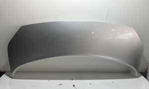 Cofano Anteriore per Renault Scenic Serie (03>09) (2003 - 2009)
