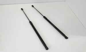 Pistoncini cofano Post. per Fiat 500 L Living (2013 - 2016)