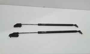 Pistoncini cofano ant per Subaru Forester SH (2008 - 2011)