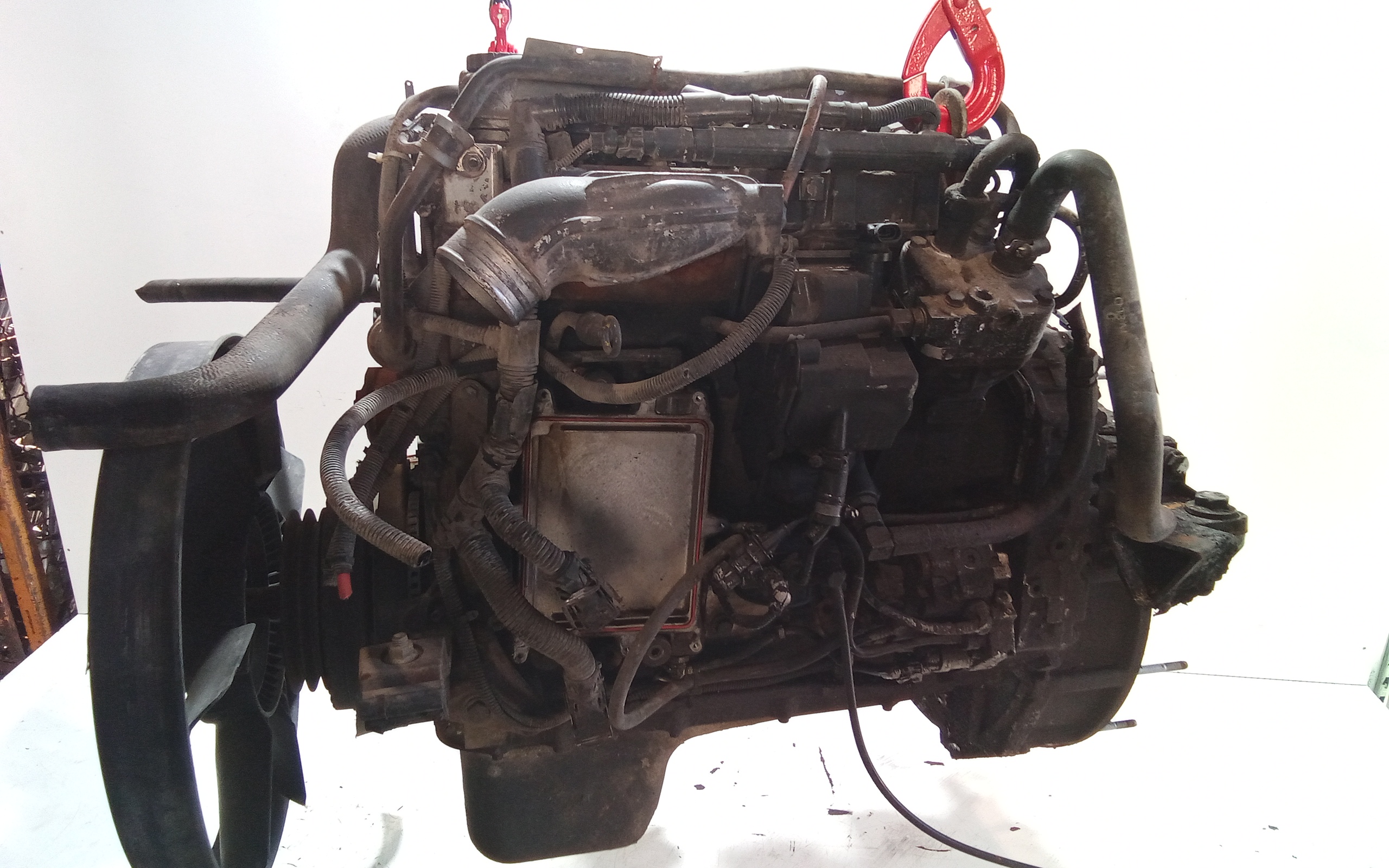 Motore semi completo per Iveco Eurocargo 3 Serie (2008 - >)