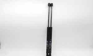 Pistoncini cofano Post. per Kia Picanto 2 Serie (2007 - 2011)