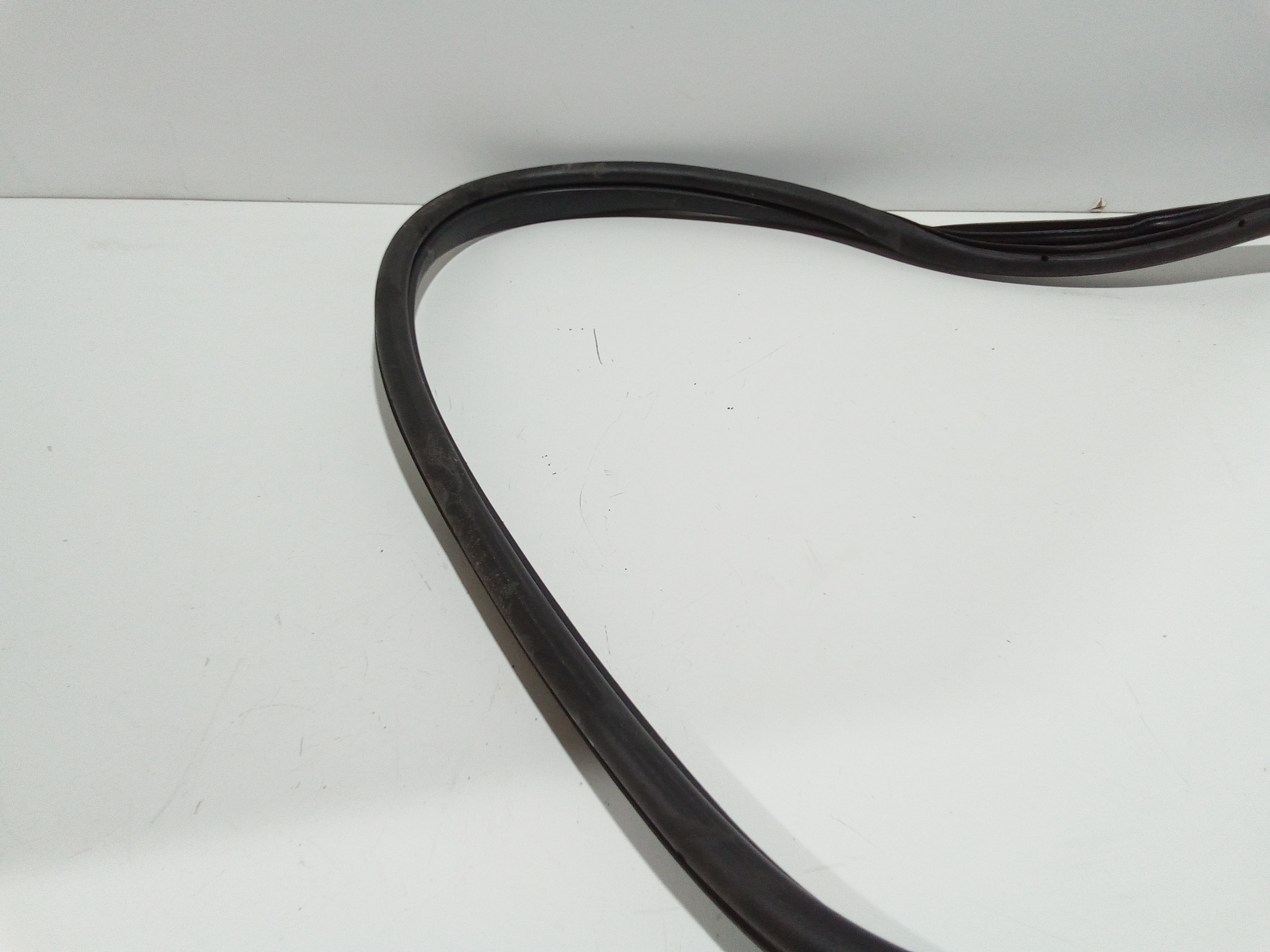 Guarnizioni portellone posteriore per Fiat Panda Cross Hybrid (2022 - )