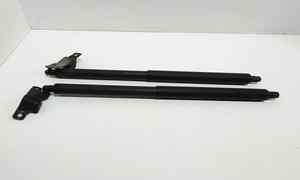 Pistoncini cofano Post. per Bmw X5 Serie (e70) (06>13) (2006 - 2013)