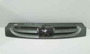 Griglia Anteriore per Peugeot Ranch 2 Serie (2002 - 2008)