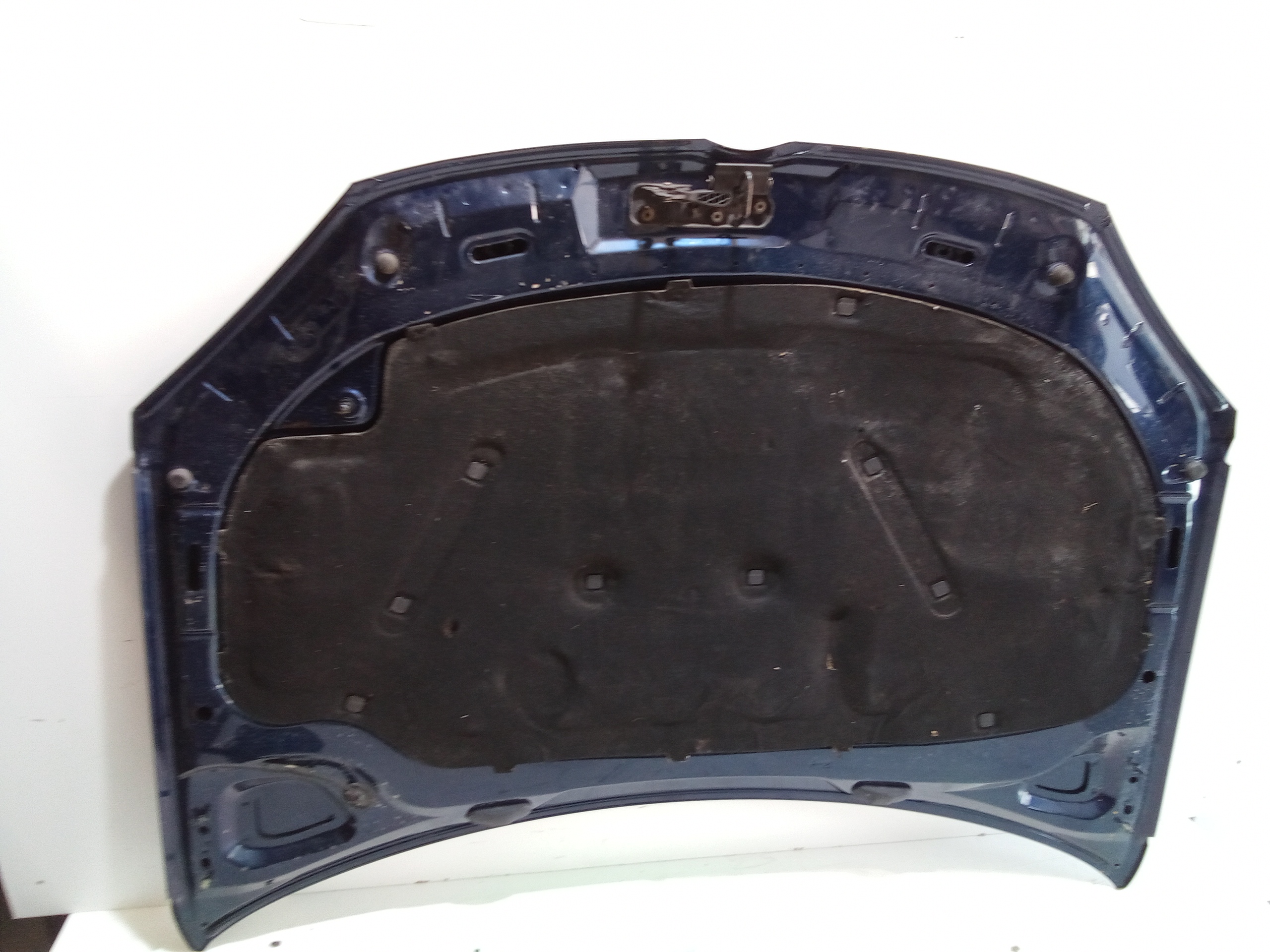 Cofano Anteriore per Volkswagen Golf 5 Plus (04>13) (2004 - 2013)