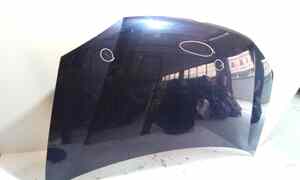 Cofano Anteriore per Volkswagen Golf 5 Plus (04>13) (2004 - 2013)