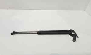 Pistoncini cofano Post. per Bmw Serie 1 Serie (e87) (07>) (2007 - In produzione)