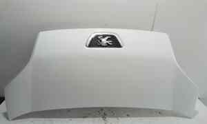 Cofano Anteriore per Peugeot Bipper 1 Serie (2007 - In produzione)