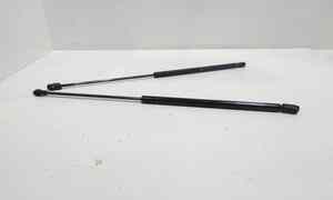 Pistoncini cofano Post. per Chatenet CH 30 (2013 - 2016)