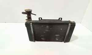 Radiatore acqua per Kymco Gran Dink 250cc (2004 - In produzione)