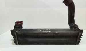 Intercooler per Bmw X5 Serie (e70) (06>13) (2006 - 2013)