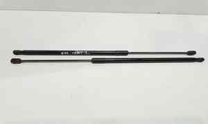 Pistoncini cofano Post. per Bmw Serie 1 F40 (19>) (2019 - In produzione)