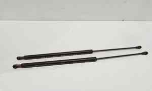 Pistoncini cofano Post. per Citroen C3 Picasso (08>) (2008 - In produzione)